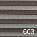 603.jpg