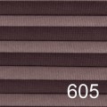 605.jpg