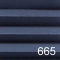 665.jpg