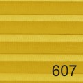 607.jpg